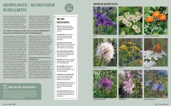 Garten & Natur|Ratgeber * Prestel Verlag Morgen grüner