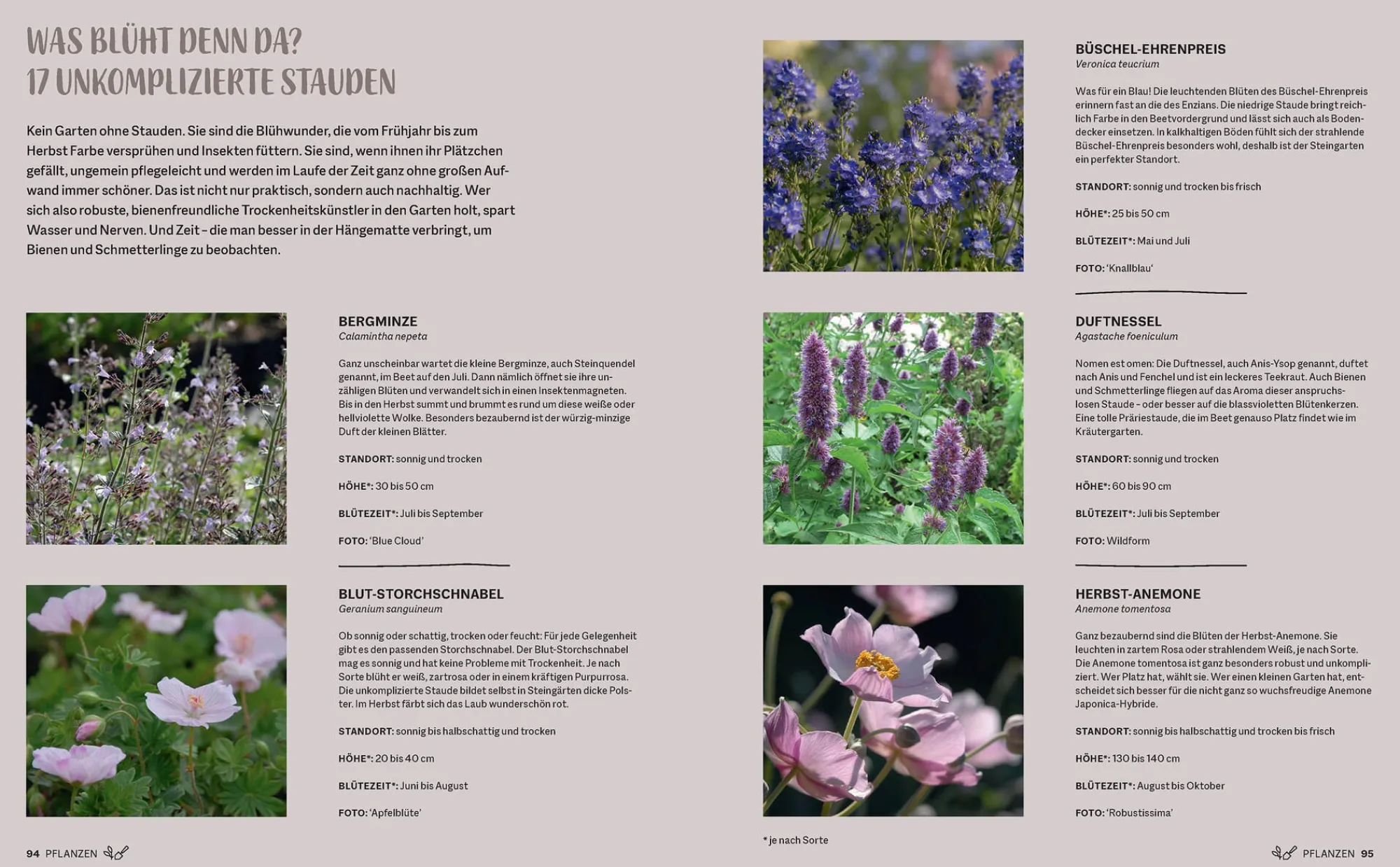Garten & Natur|Ratgeber * Prestel Verlag Morgen grüner