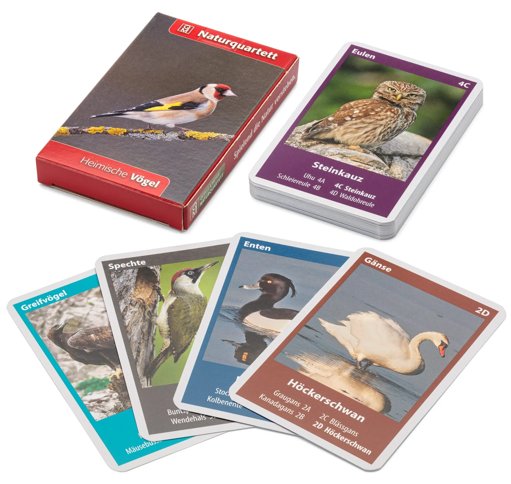 Gesellschaftsspiele|Gesellschaftsspiele * Quelle & Meyer Verlag Naturquartett Heimische Vögel