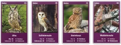 Gesellschaftsspiele|Gesellschaftsspiele * Quelle & Meyer Verlag Naturquartett Heimische Vögel