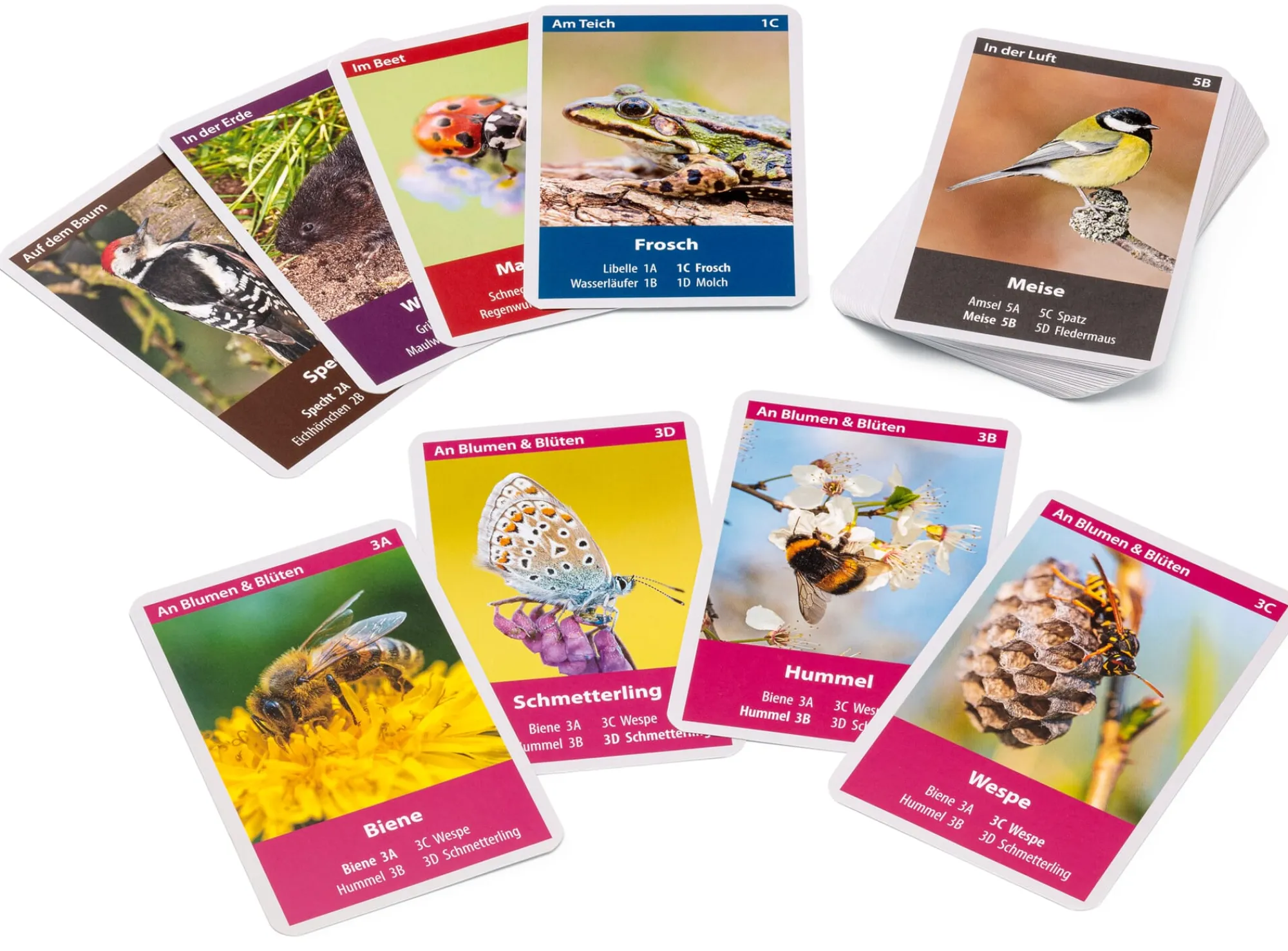 Gesellschaftsspiele|Gesellschaftsspiele * Quelle & Meyer Verlag Naturquartett Tiere im Garten