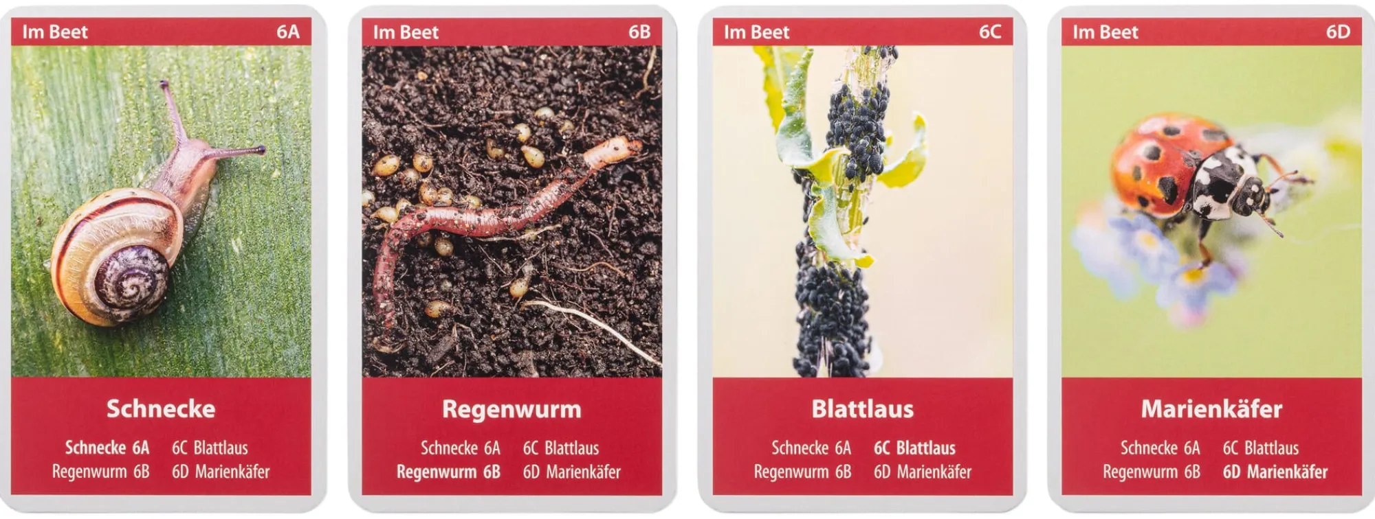 Gesellschaftsspiele|Gesellschaftsspiele * Quelle & Meyer Verlag Naturquartett Tiere im Garten