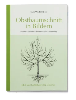 Garten & Natur|Sachbücher * Obst-und Gartenbauverlag Obstbaumschnitt in Bildern