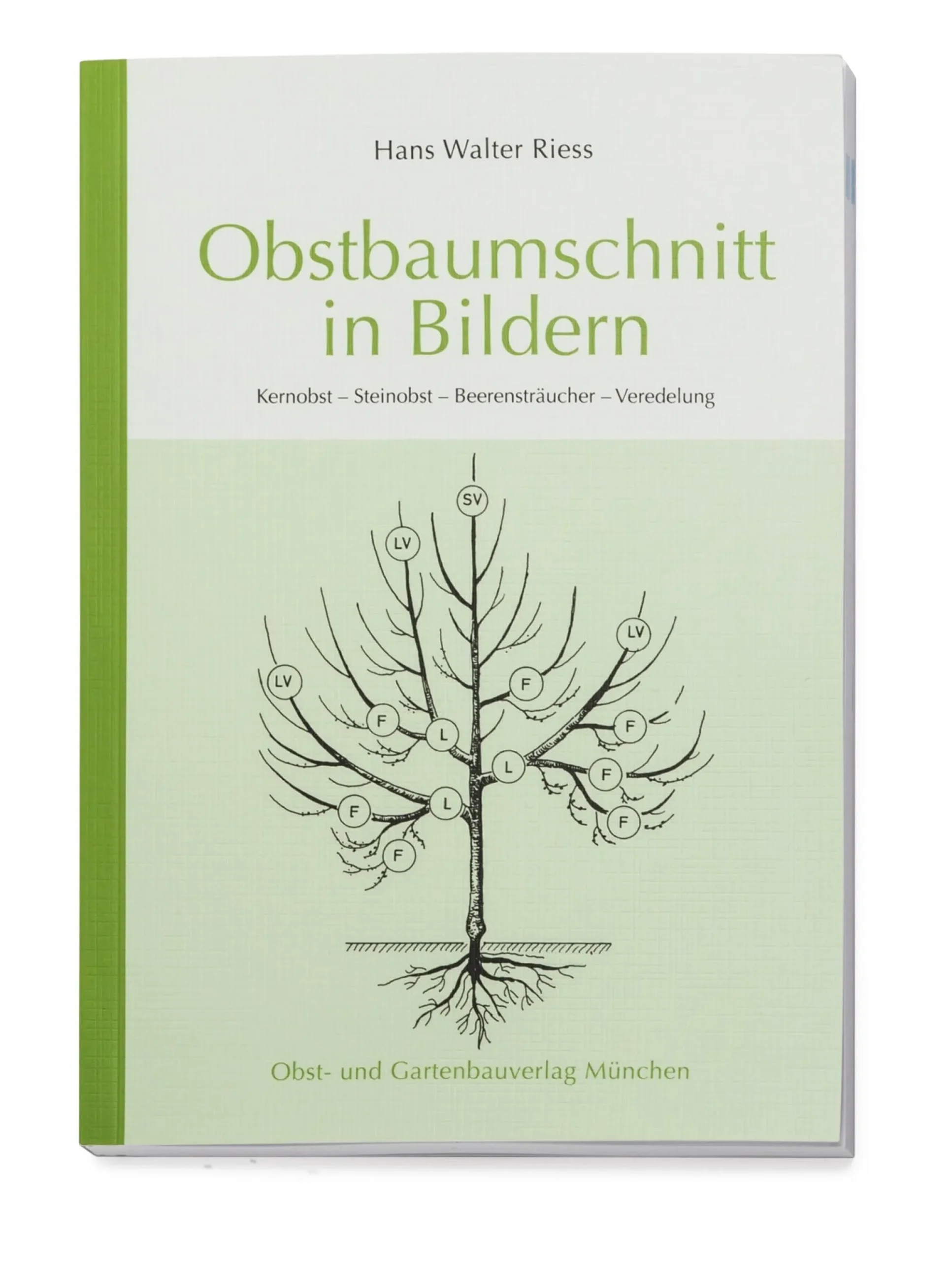 Garten & Natur|Sachbücher * Obst-und Gartenbauverlag Obstbaumschnitt in Bildern
