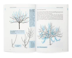 Garten & Natur|Sachbücher * Obst-und Gartenbauverlag Obstbaumschnitt in Bildern