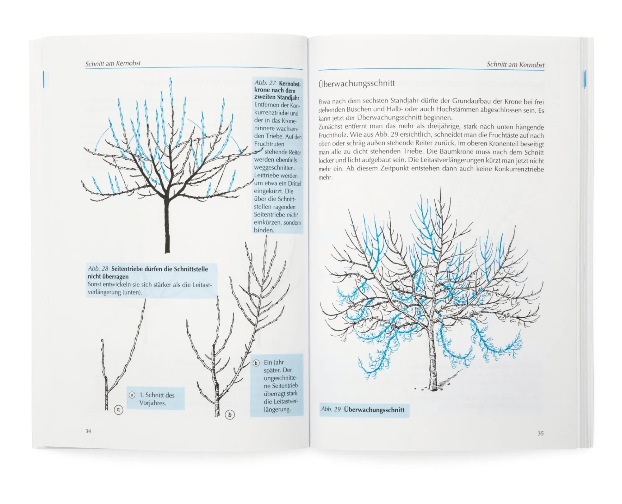 Garten & Natur|Sachbücher * Obst-und Gartenbauverlag Obstbaumschnitt in Bildern