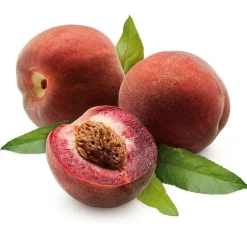Obstgehölze * Manufactum Obstgehölz 'Roter Weinbergpfirsich'