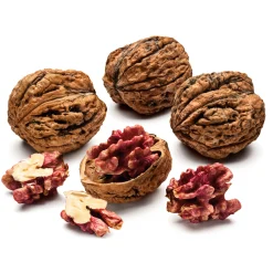 Obstgehölze * Manufactum Obstgehölz Walnuss 'Rote Donaunuss'