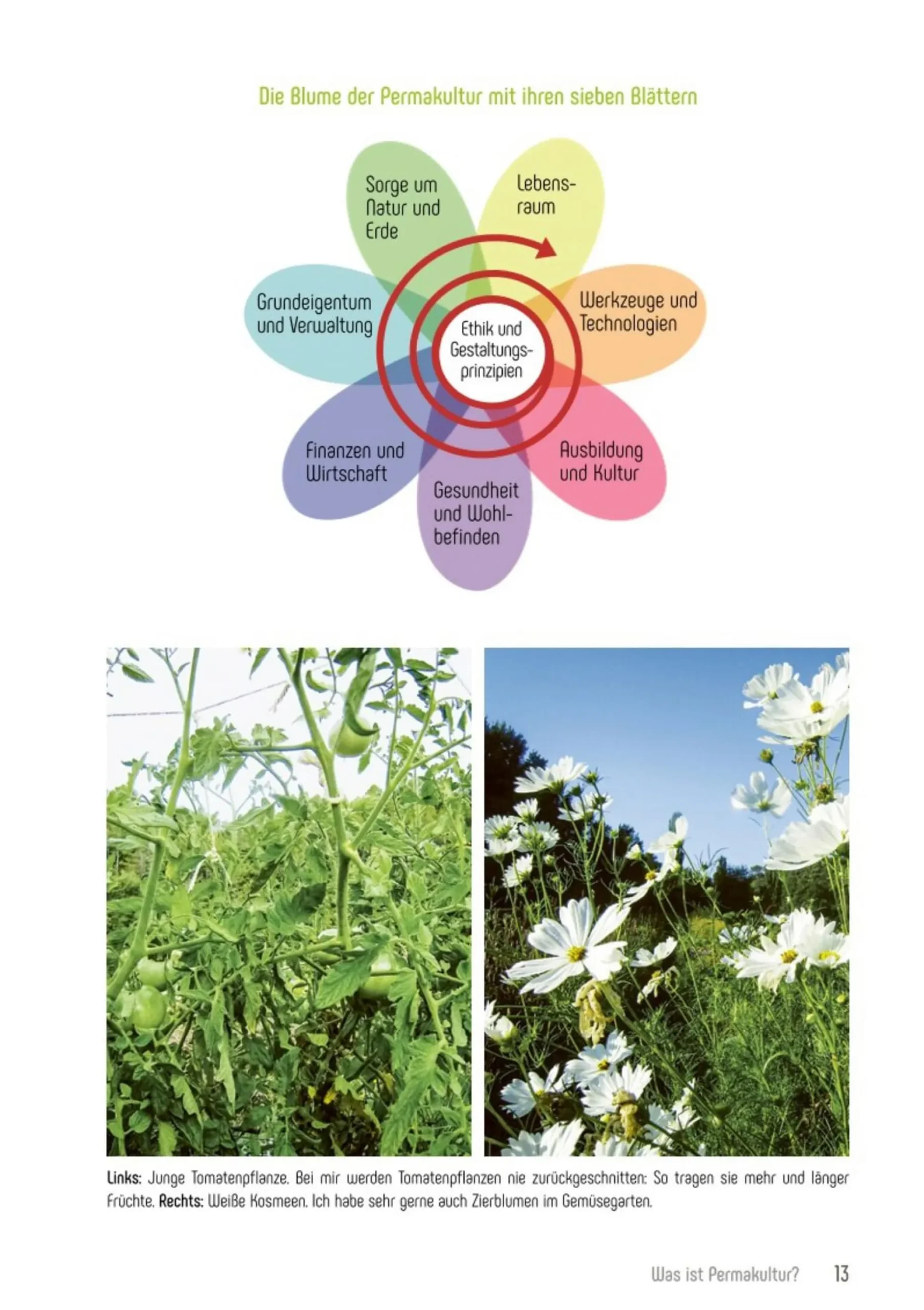 Garten & Natur|Ratgeber * smarticular Permakultur im Bio-Garten