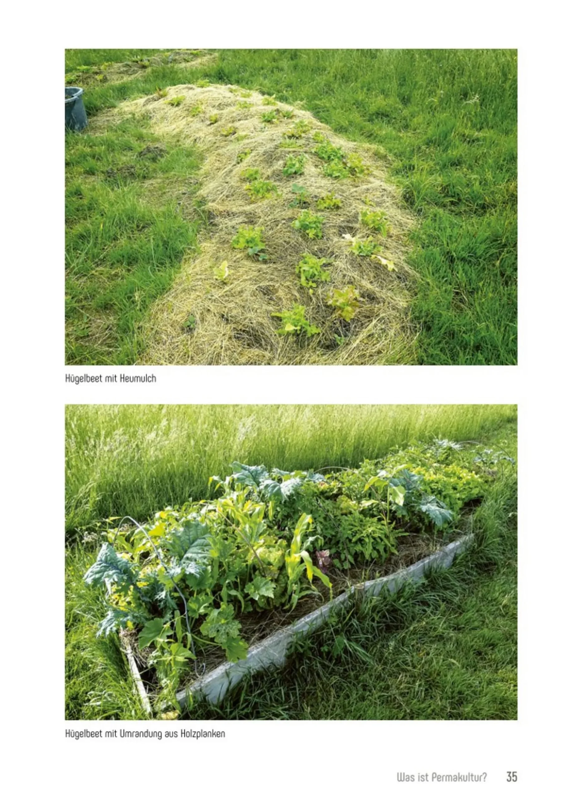 Garten & Natur|Ratgeber * smarticular Permakultur im Bio-Garten