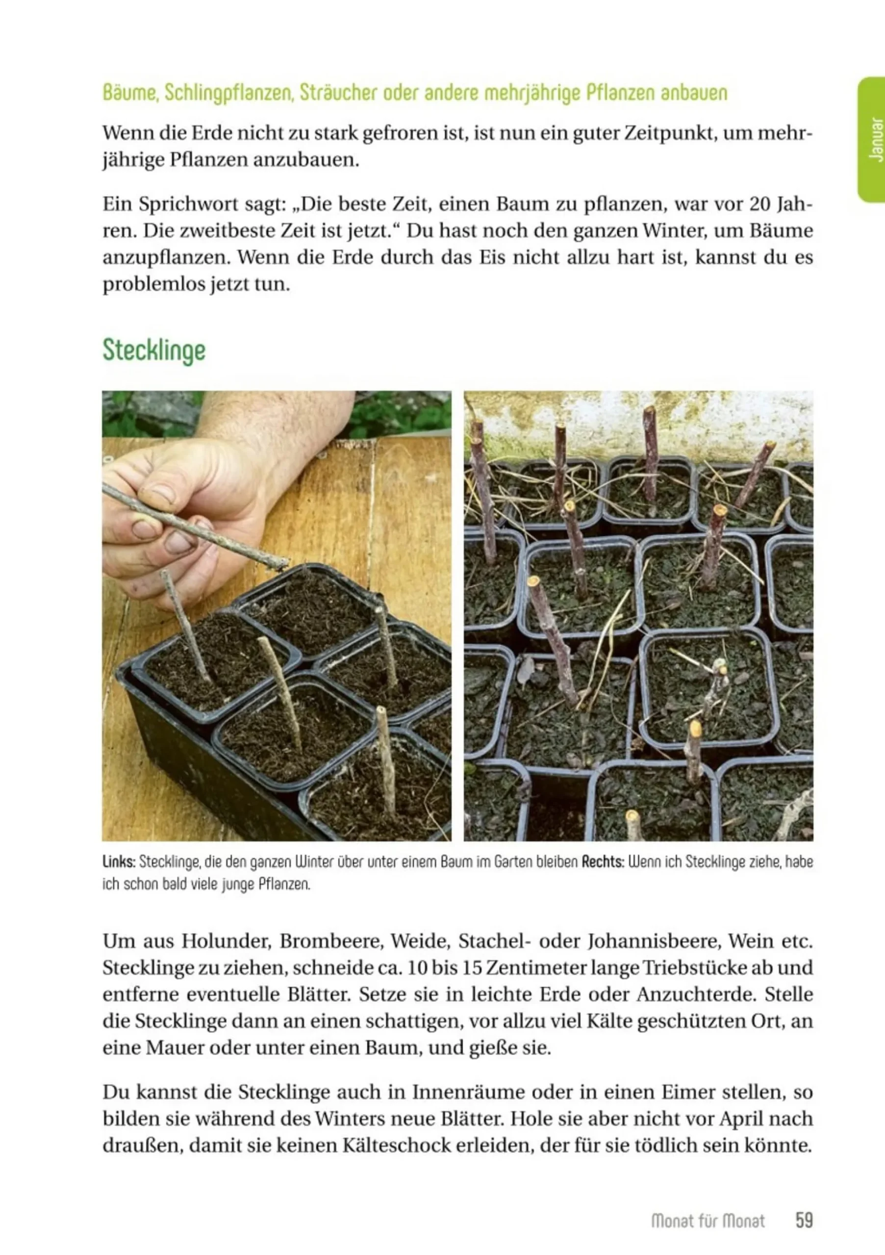 Garten & Natur|Ratgeber * smarticular Permakultur im Bio-Garten