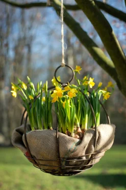 Pflanzgefäße * Pro Flora Pflanzeinlage Kokos für Pflanzgefäße