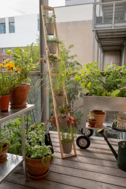 Blumenbänke & -Kästen|Pflanzgefäße * Fairwerk Pflanzenleiter für drinnen und draußen Grau