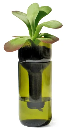 Pflanzgefäße * SIDE BY SIDE Pflanzgefäß Self Watering Bottle Grün