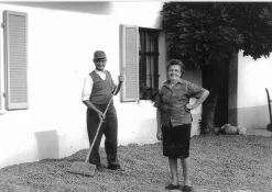 Backzutaten|Nüsse * Azienda Agricola Papa dei Boschi Piemontesische Haselnüsse