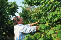 Nusscreme * Azienda Agricola Papa dei Boschi Piemontesische Haselnuss-Schokoladen-Creme
