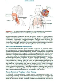 Ratgeber * Stiebner Pilates Anatomie