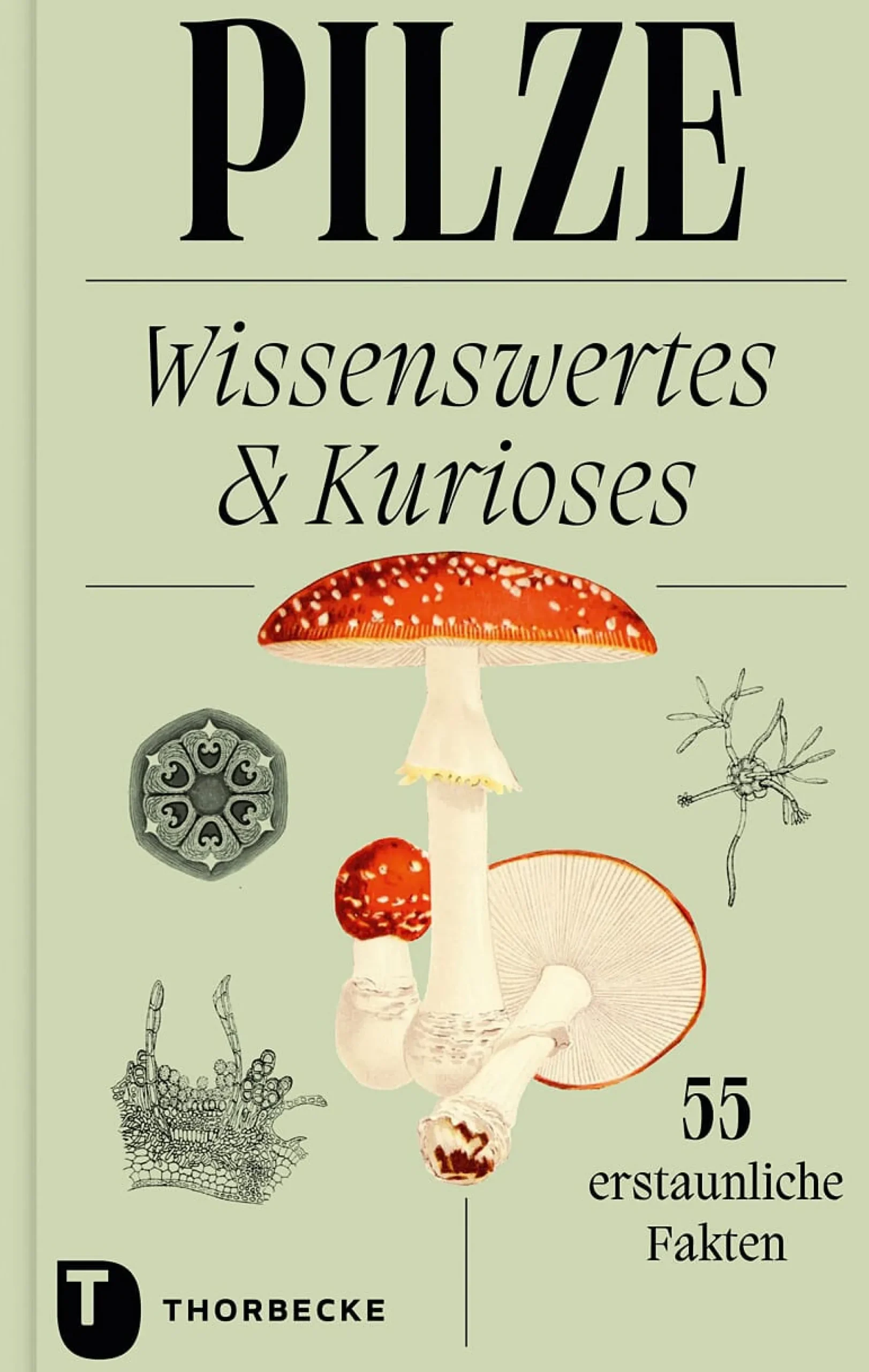Garten & Natur|Ratgeber * Jan Thorbecke Verlag Pilze