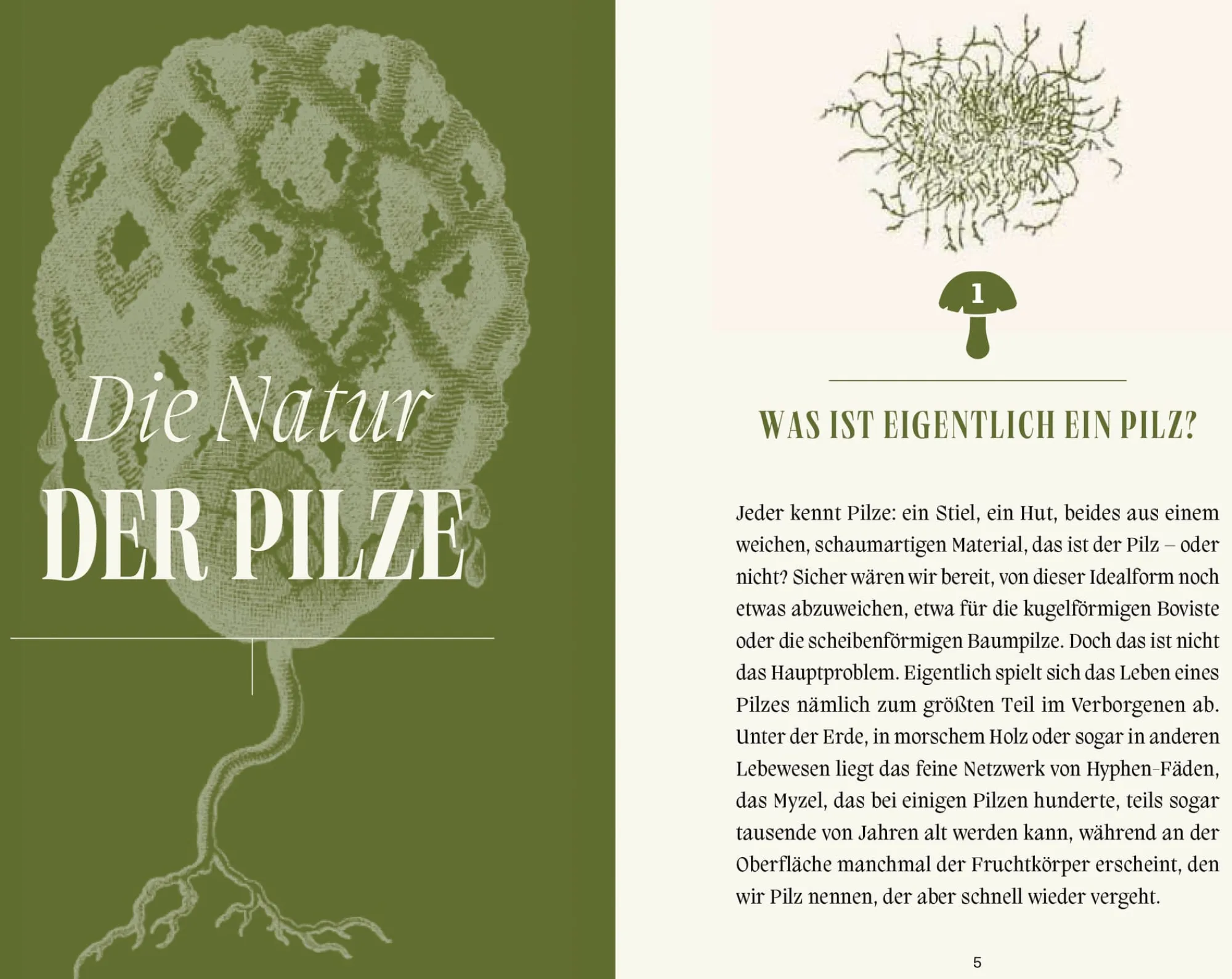 Garten & Natur|Ratgeber * Jan Thorbecke Verlag Pilze