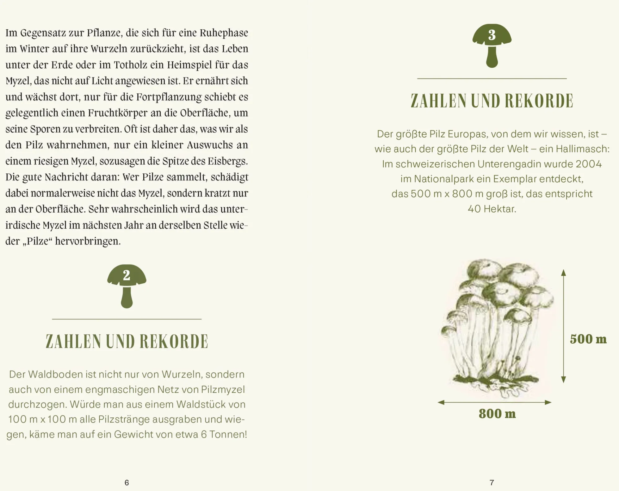 Garten & Natur|Ratgeber * Jan Thorbecke Verlag Pilze
