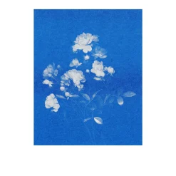Briefpapier|Papeterie * Herr & Frau Rio Postkarten-Set Riso