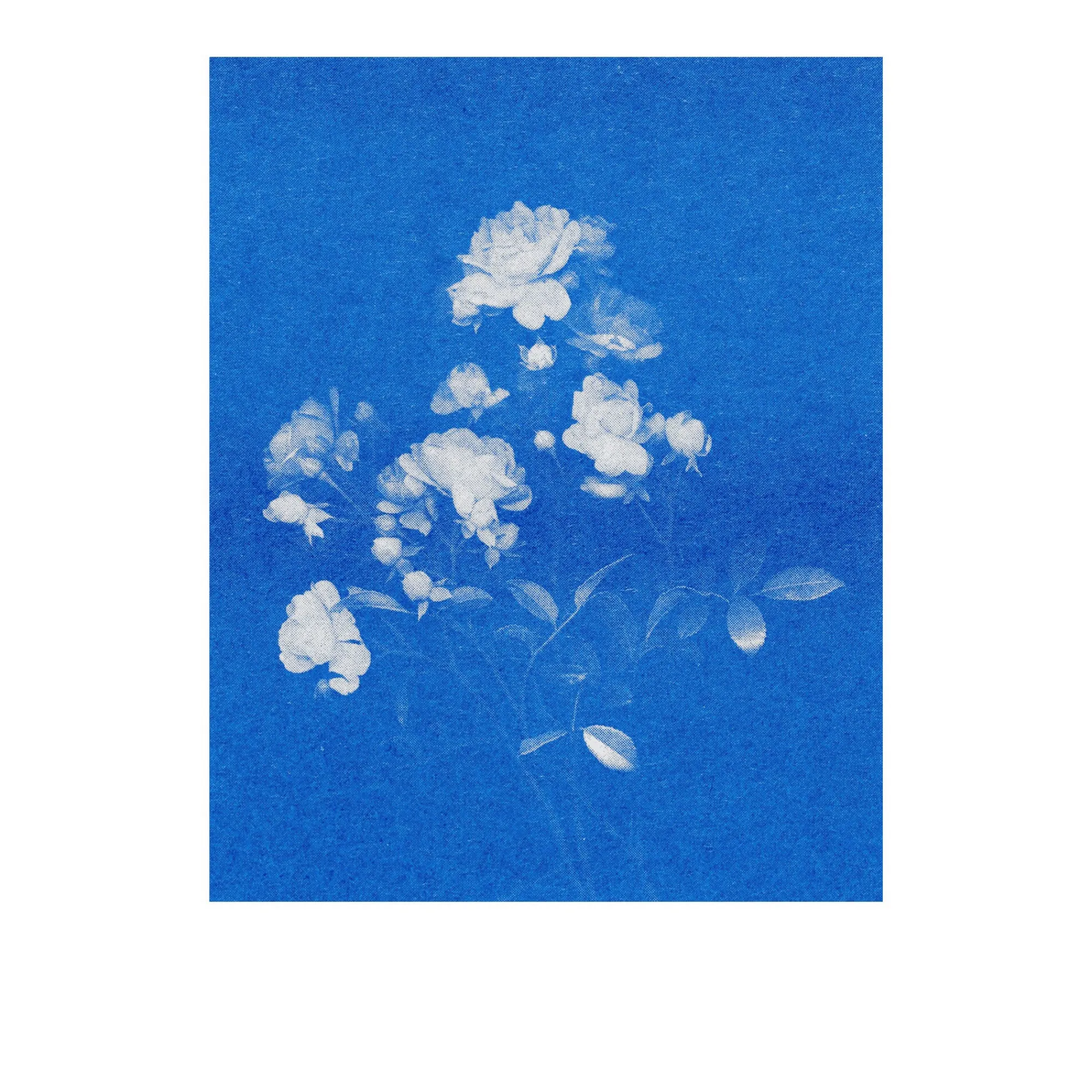Briefpapier|Papeterie * Herr & Frau Rio Postkarten-Set Riso