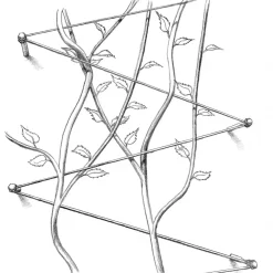 Rankgitter & Wuchshilfen * Peddy Shield Ranksystem Edelstahl