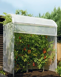 Gewächshäuser * Brühwiler Maschinen Rollo Tomatenhaus Stahlrahmen