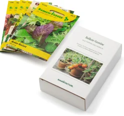 Gemüsesamen|Gemüsepflanzen * Manufactum Saatgut Gemüse anbauen auf dem Balkon