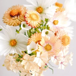 Blumensamen * Jora Dahl Saatgutkollektion für Blumensträuße