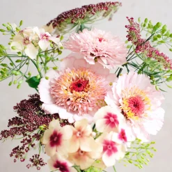 Blumensamen * Jora Dahl Saatgutkollektion für Blumensträuße