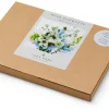 Blumensamen * Jora Dahl Saatgutkollektion für Blumensträuße