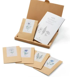 Blumensamen * Jora Dahl Saatgutkollektion für Blumensträuße