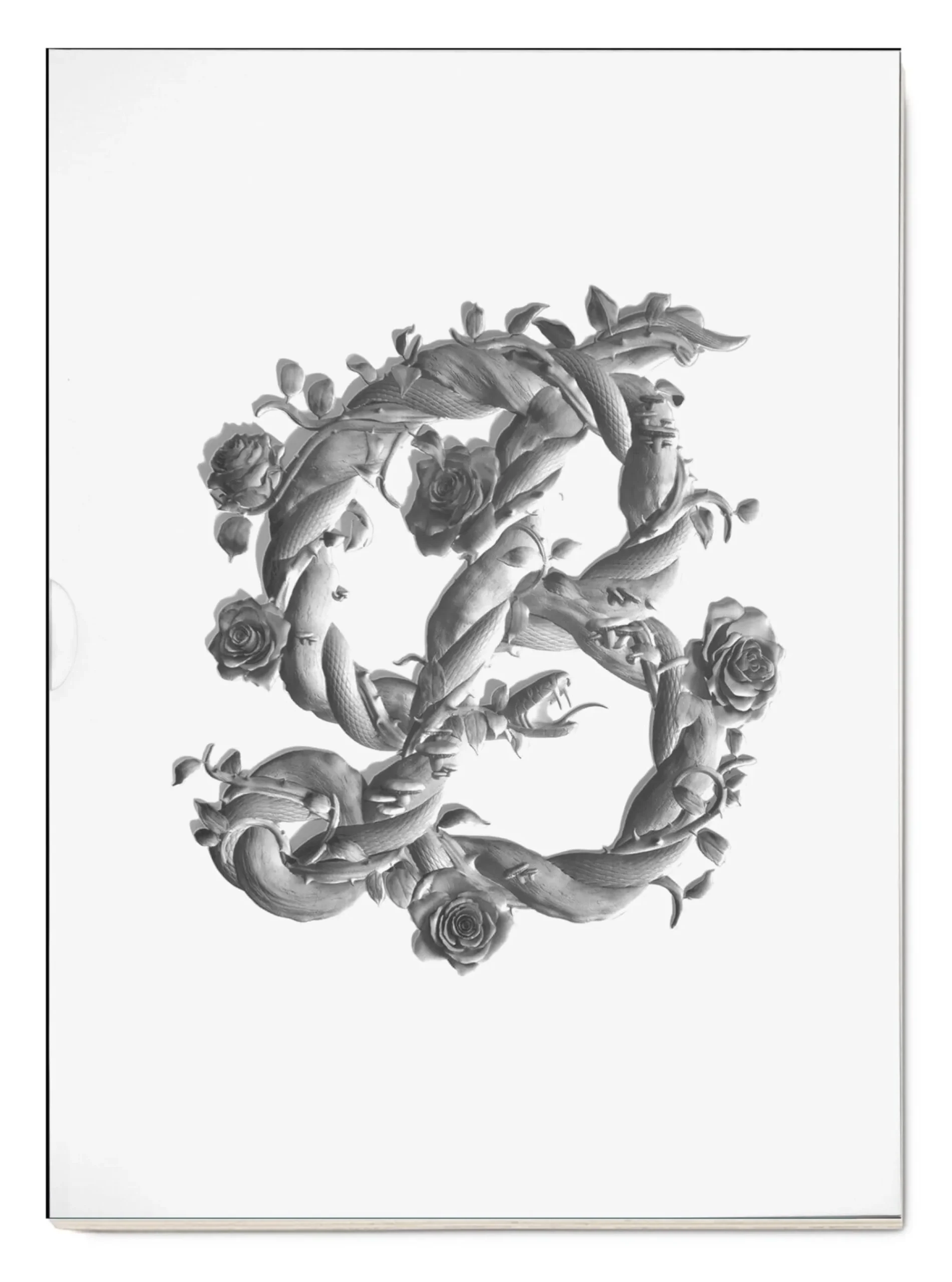 Sonstiges * Verlag Hermann Schmidt Sagmeister & Walsh: Beauty