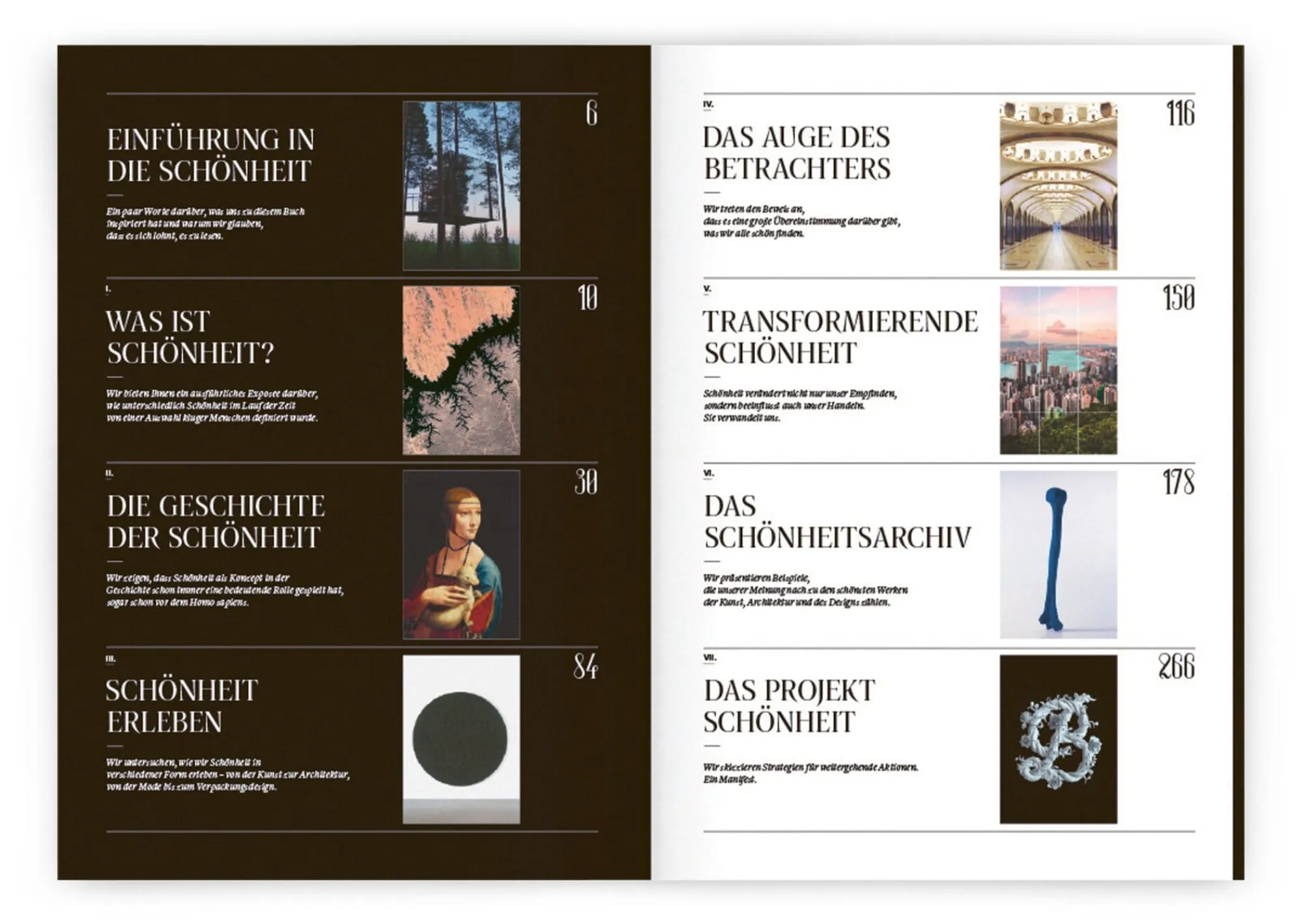 Sonstiges * Verlag Hermann Schmidt Sagmeister & Walsh: Beauty