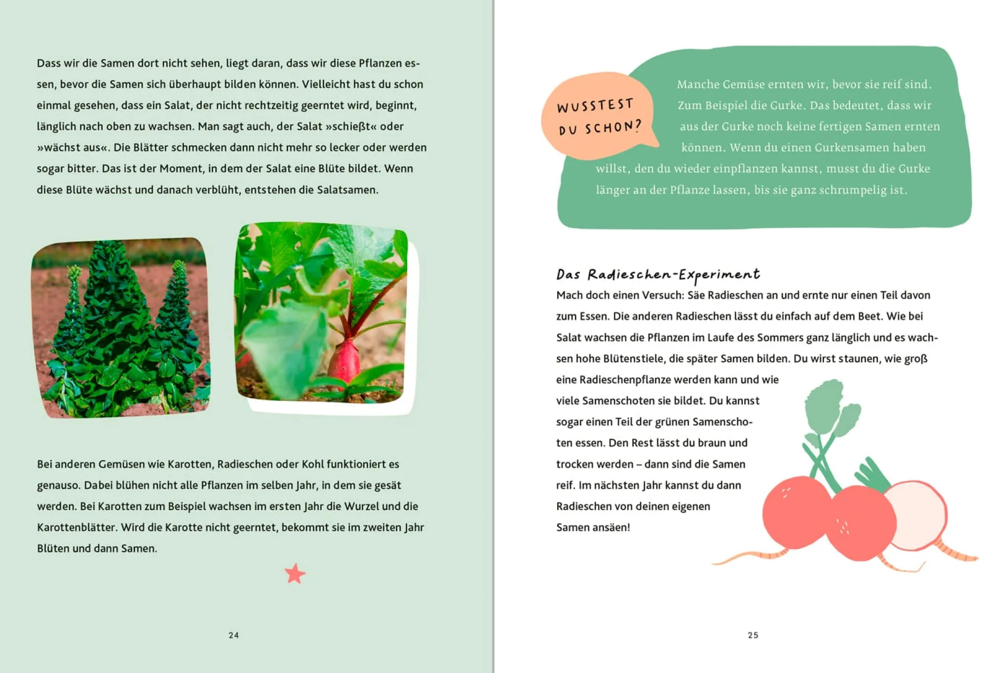 Garten & Natur|Ratgeber * Oekom Verlag Schau mal, was da wächst