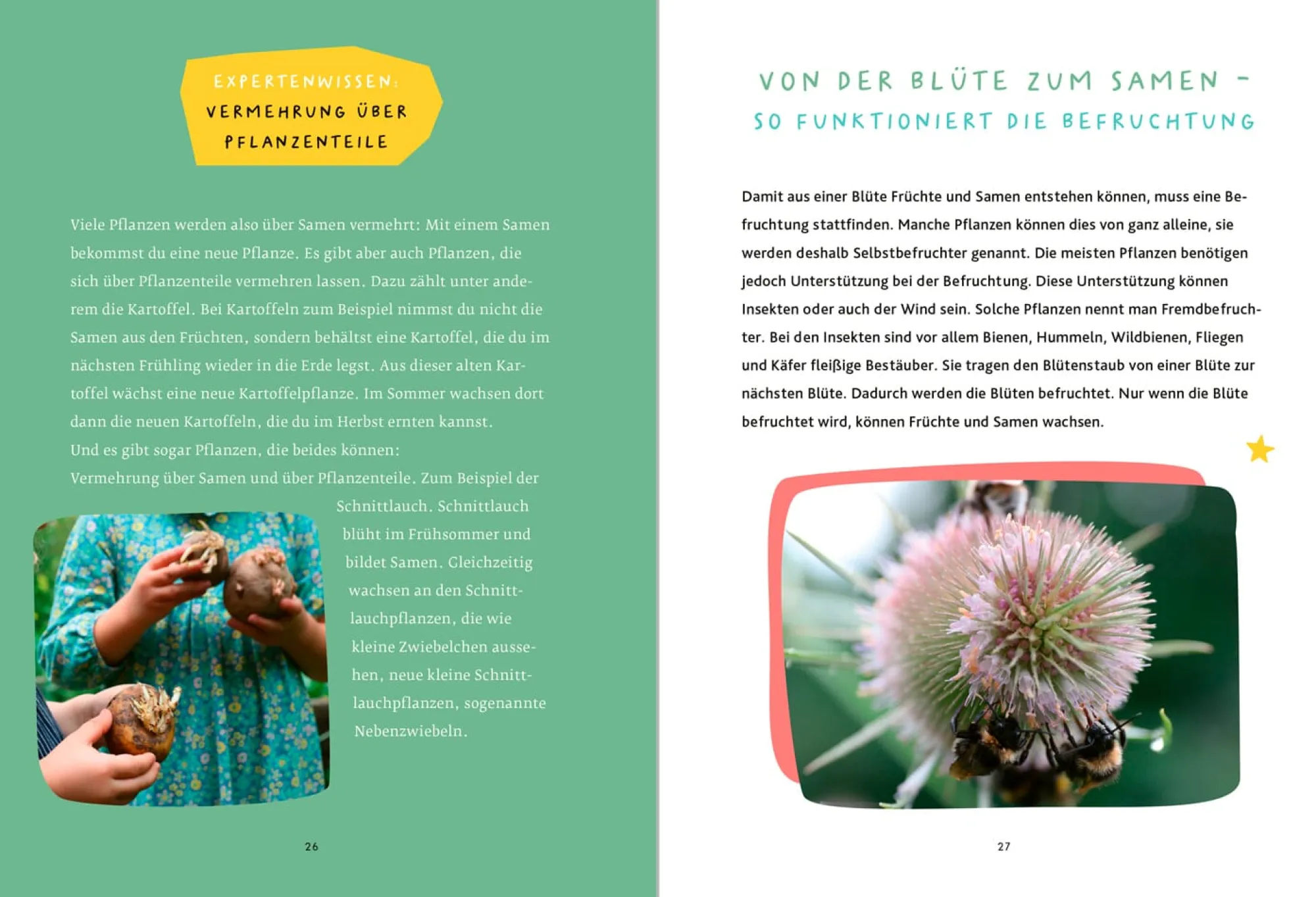 Garten & Natur|Ratgeber * Oekom Verlag Schau mal, was da wächst
