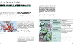 Garten & Natur|Ratgeber * Löwenzahn Verlag Selbstversorgung im Winter