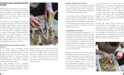 Garten & Natur|Ratgeber * Löwenzahn Verlag Selbstversorgung im Winter