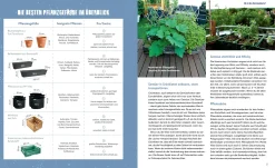 Garten & Natur|Sachbücher * Löwenzahn Verlag Stadtgemüse