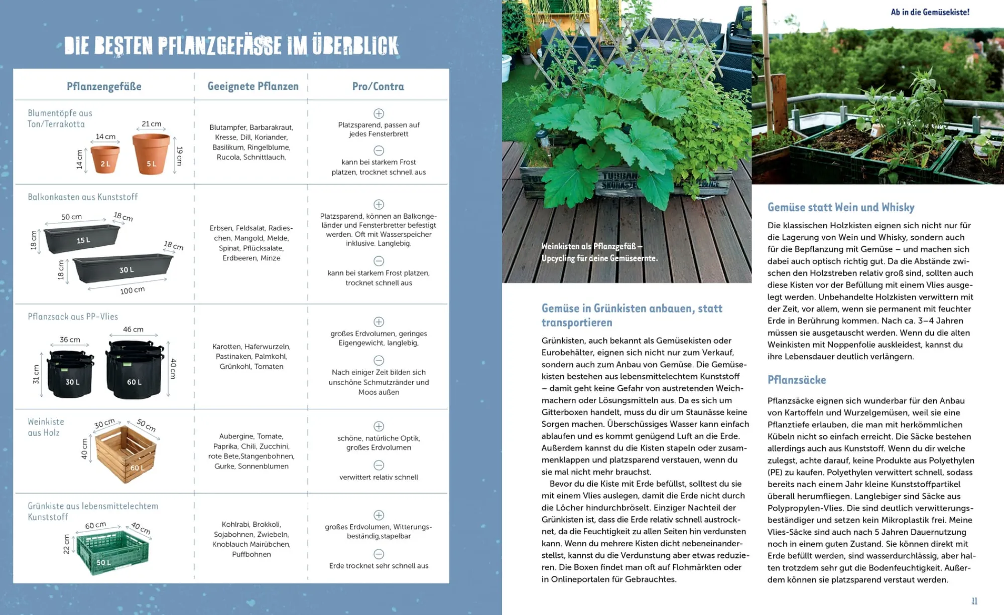 Garten & Natur|Sachbücher * Löwenzahn Verlag Stadtgemüse