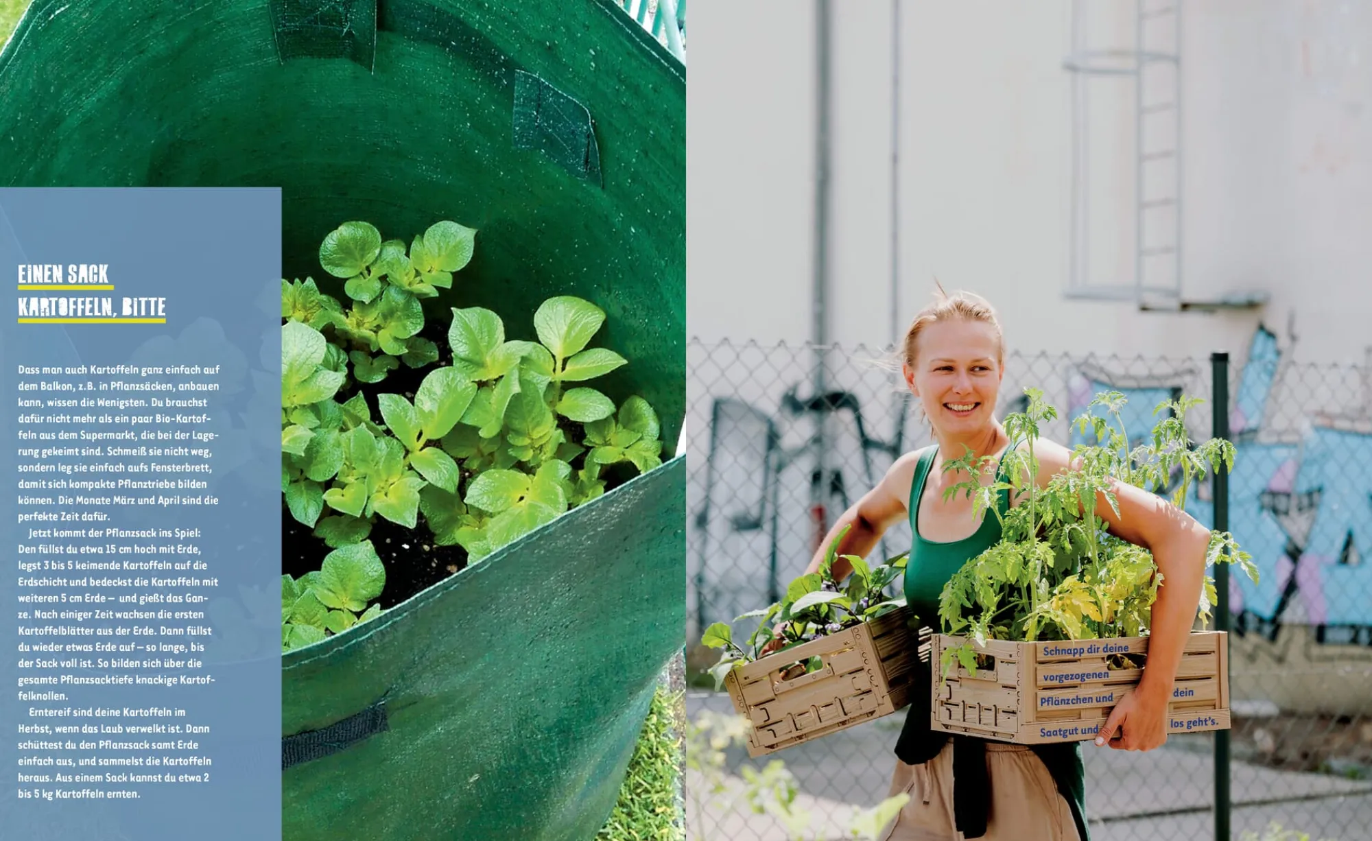 Garten & Natur|Sachbücher * Löwenzahn Verlag Stadtgemüse