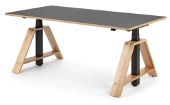 Schreibtische|Tische * Karl Westermann Steh-Sitz-Arbeitstisch Esche und Linoleum