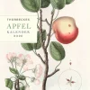 Wandkalender|Zeitplaner & Kalender * Jan Thorbecke Verlag Thorbecke Apfel-Kalender 2026