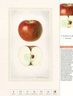 Wandkalender|Zeitplaner & Kalender * Jan Thorbecke Verlag Thorbecke Apfel-Kalender 2026