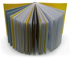 Ratgeber * Verlag Hermann Schmidt Unfog Your Mind
