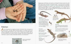 Garten & Natur|Ratgeber * Wawra Verlag Unserer Natur auf der Spur