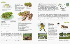 Garten & Natur|Ratgeber * Wawra Verlag Unserer Natur auf der Spur