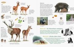 Garten & Natur|Ratgeber * Wawra Verlag Unserer Natur auf der Spur