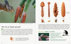 Garten & Natur|Ratgeber * Wawra Verlag Unserer Natur auf der Spur